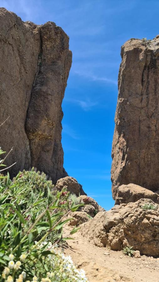 Puerto Rico Top Teide And Amadores View Экстерьер фото