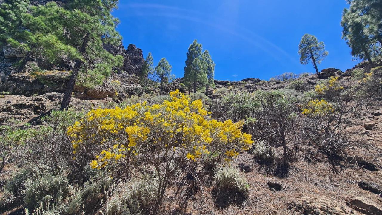 Puerto Rico Top Teide And Amadores View Экстерьер фото