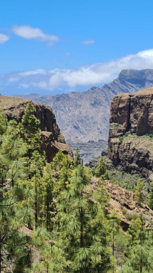 Puerto Rico Top Teide And Amadores View Экстерьер фото